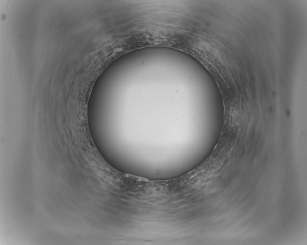 X0000088840865200706071418