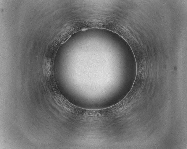 X0000088840866200706071417