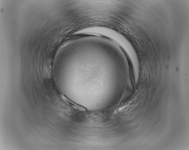 X0000088840868200706071417