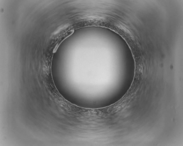 X0000088840869200706071417