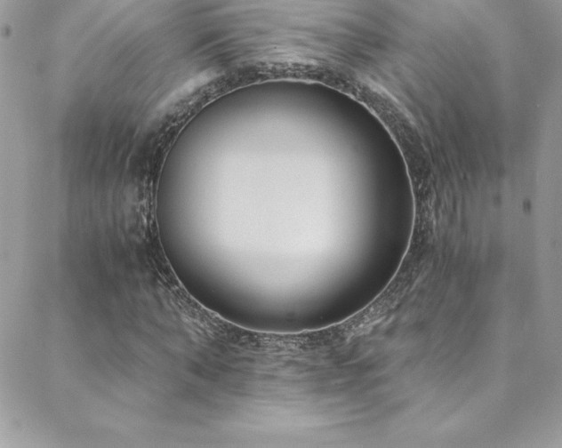 X0000088840870200706071417