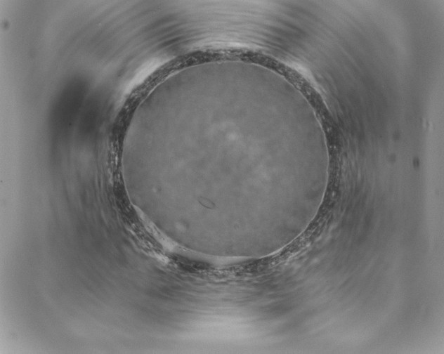 X0000088840871200706071417