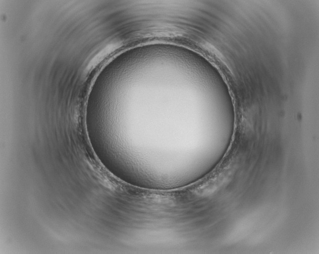 X0000088840874200706071417