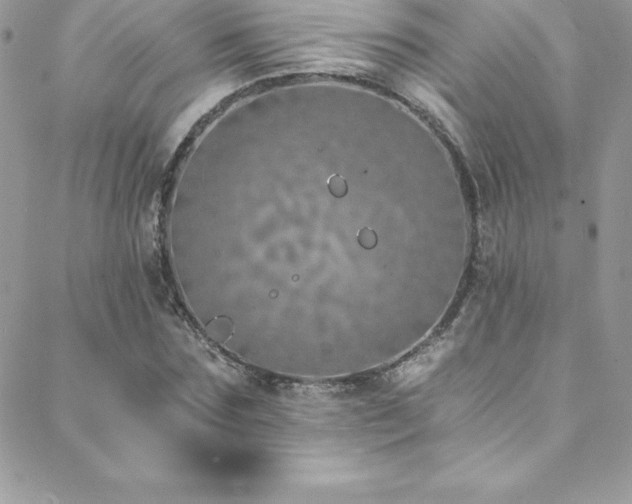 X0000088840875200706071417