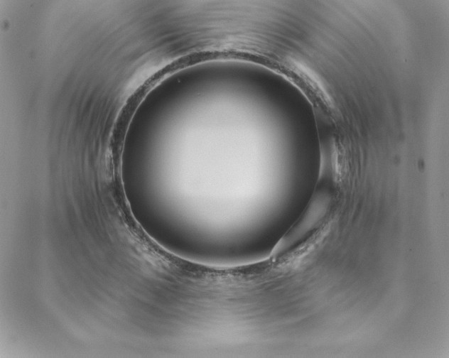 X0000088840876200706071417