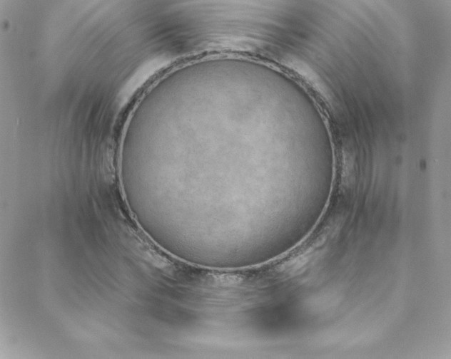 X0000088840878200706071417