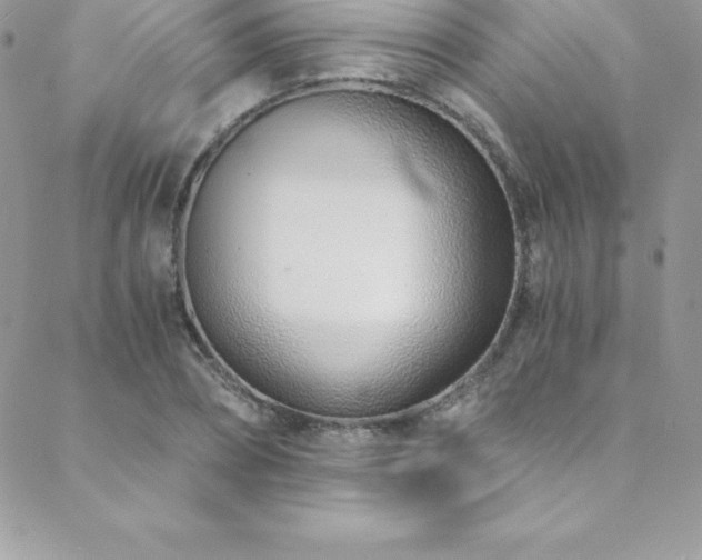 X0000088840882200706071417