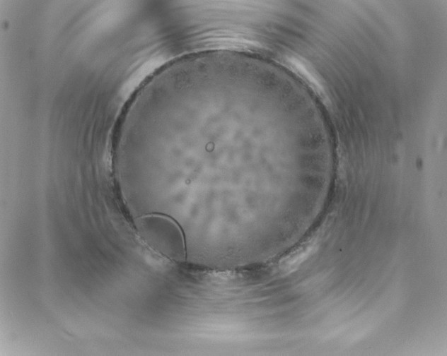 X0000088840883200706071417