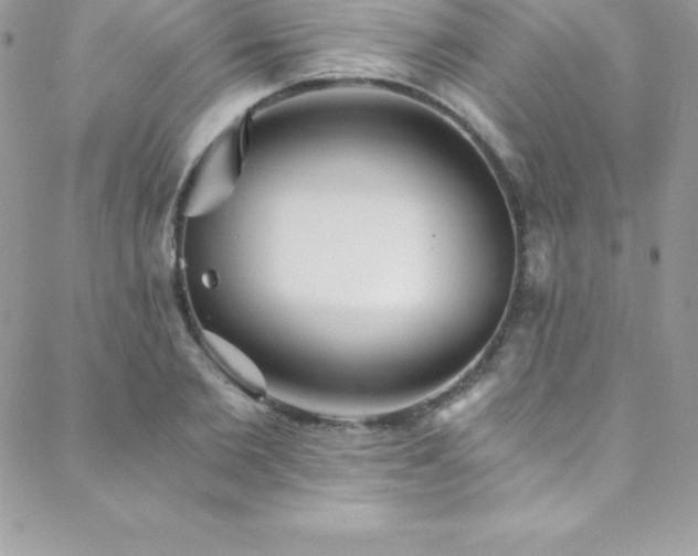 X0000088840885200706071417