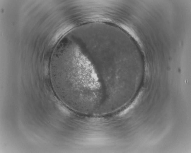 X0000088840889200706071417