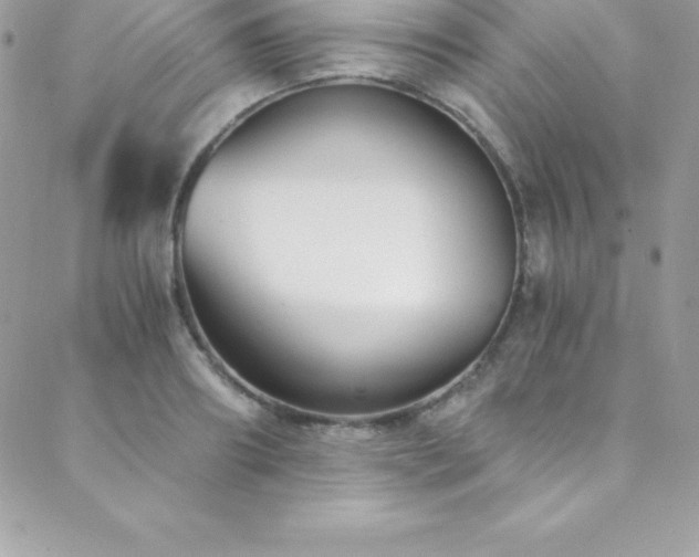 X0000088840890200706071417