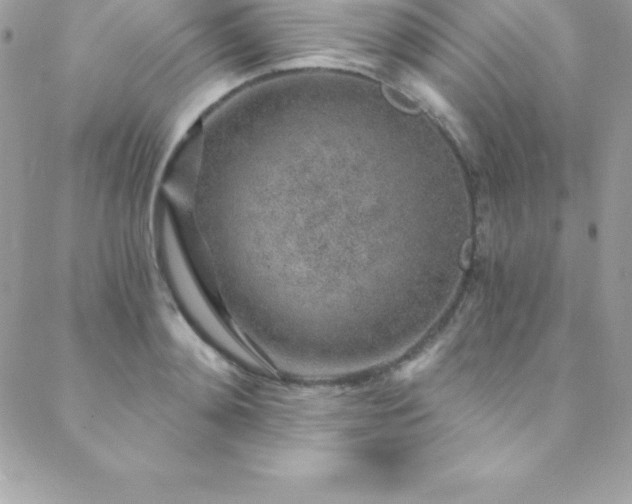 X0000088840892200706071417