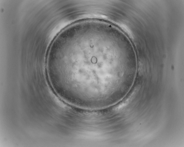 X0000088840895200706071417