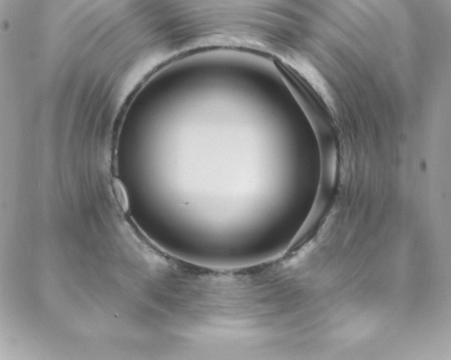 X0000088840896200706071417