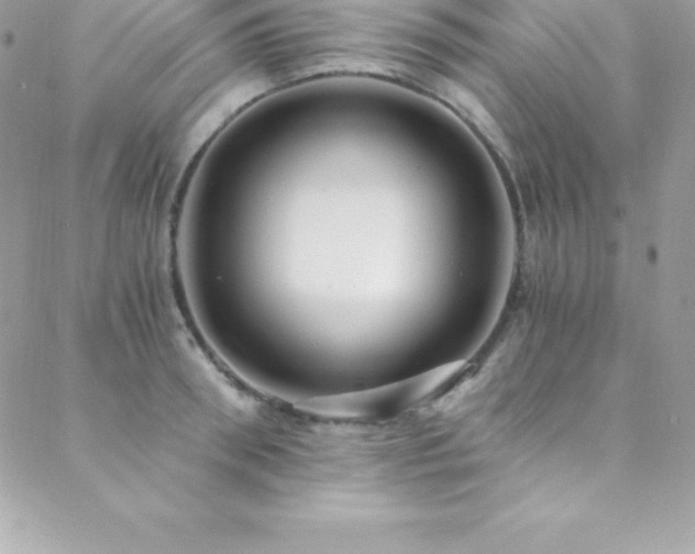 X0000088840898200706071417