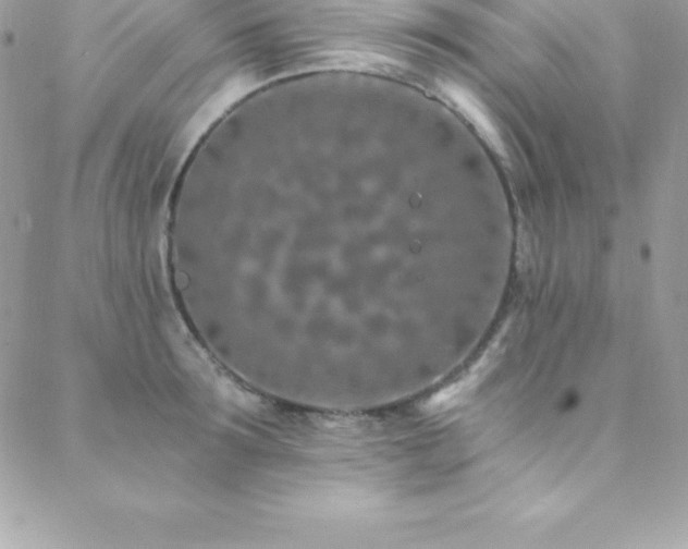 X0000088840899200706071417