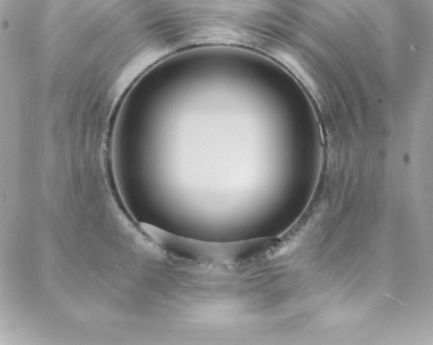 X0000088840901200706071417