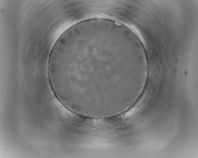 X0000088840903200706071417