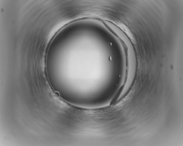 X0000088840904200706071417