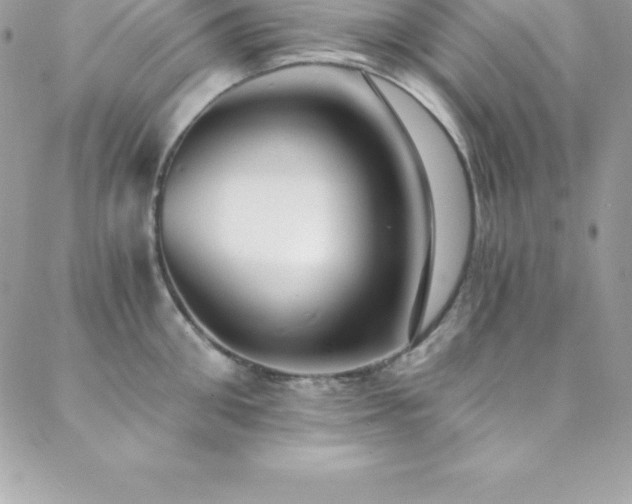 X0000088840906200706071417