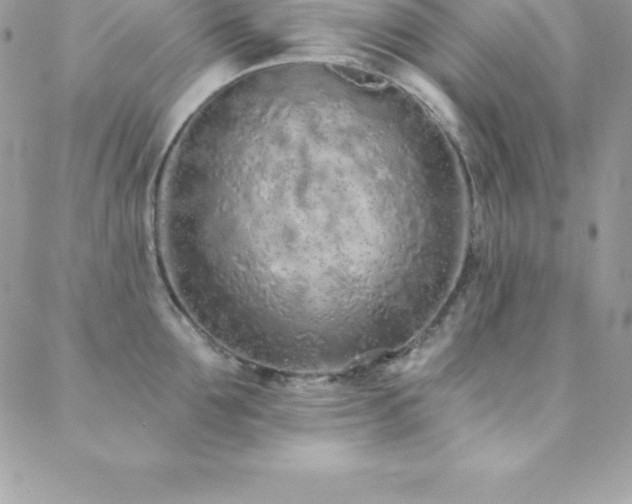 X0000088840907200706071417