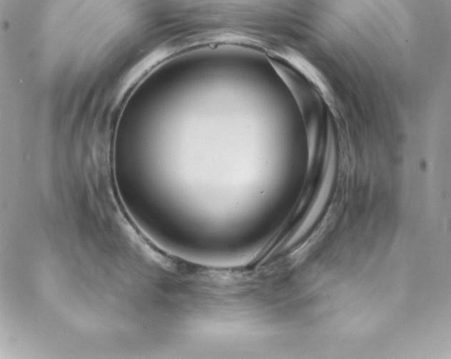 X0000088840910200706071417