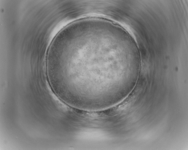 X0000088840911200706071417