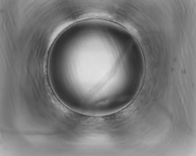 X0000088840912200706071417