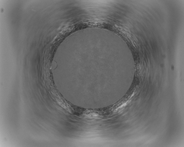 X0000088840913200706071416