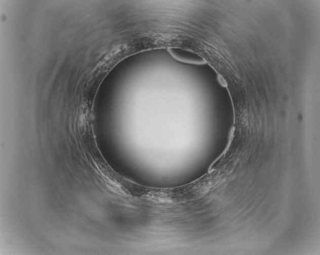 X0000088840914200706071416