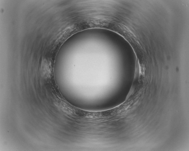 X0000088840915200706071416