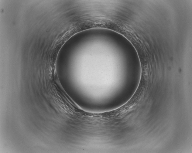 X0000088840916200706071416