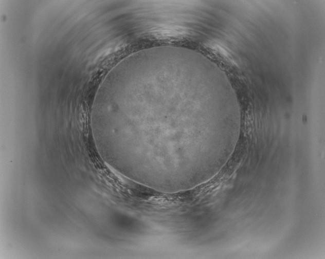 X0000088840917200706071416