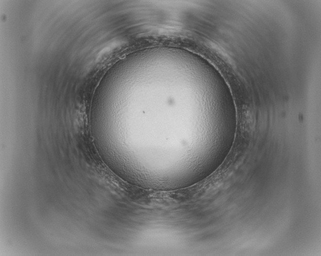 X0000088840918200706071416