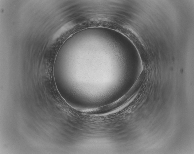 X0000088840919200706071416