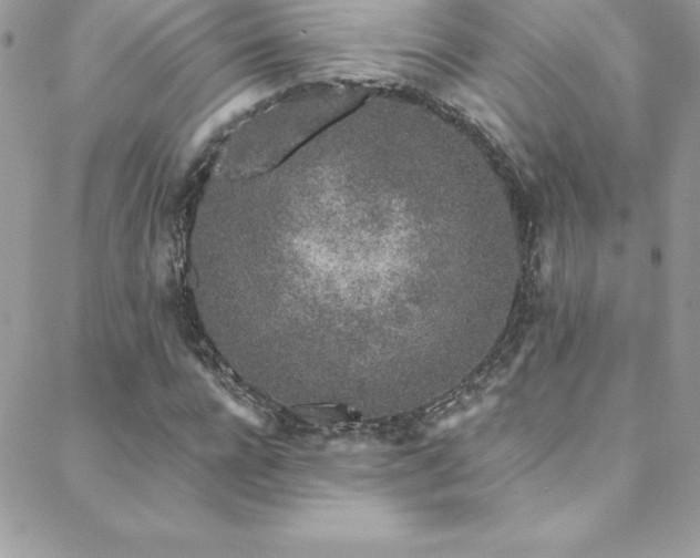 X0000088840920200706071416