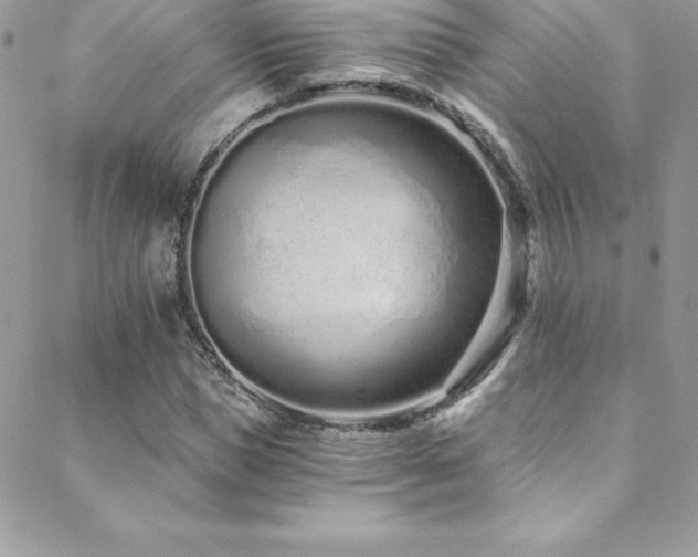 X0000088840921200706071416