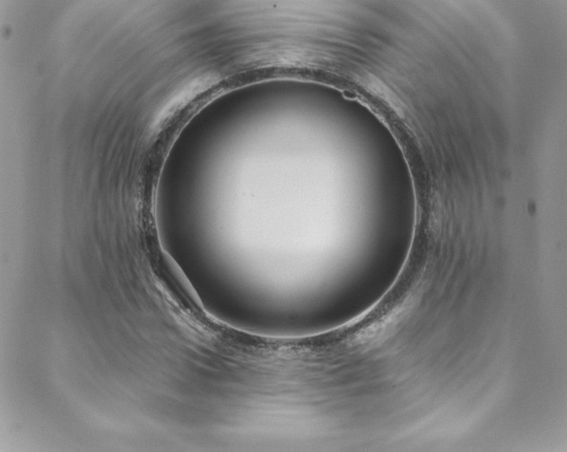 X0000088840922200706071416