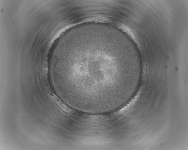 X0000088840923200706071416