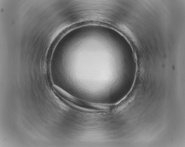 X0000088840924200706071416