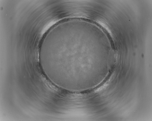 X0000088840925200706071416