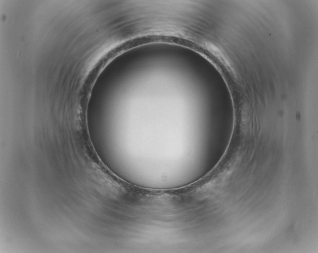 X0000088840926200706071416