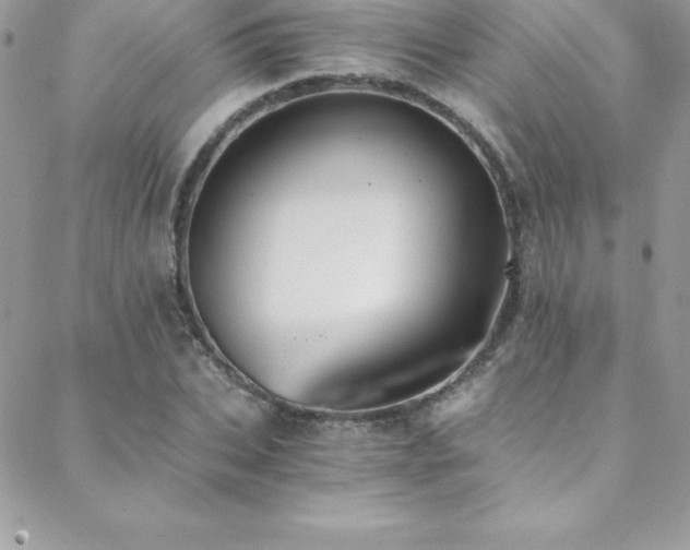 X0000088840927200706071416