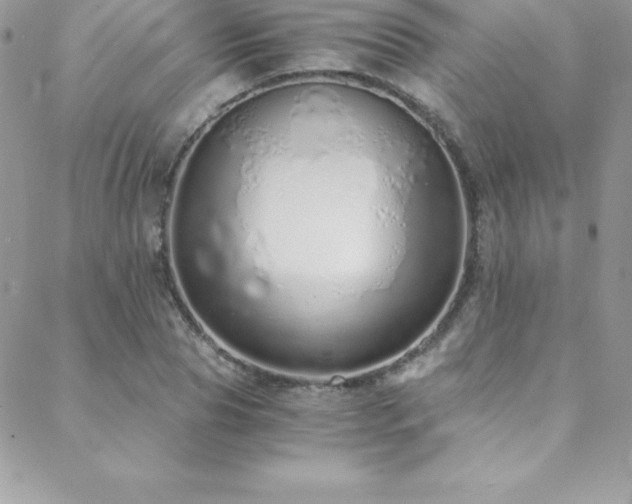 X0000088840929200706071416