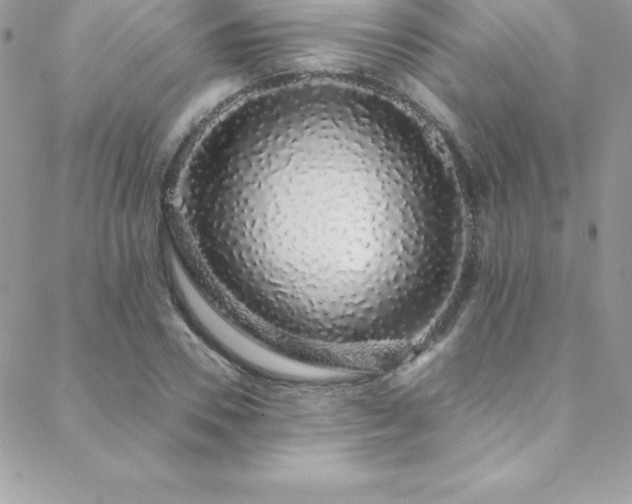 X0000088840930200706071416