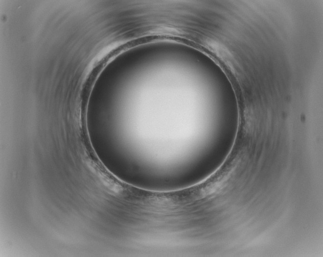 X0000088840931200706071416