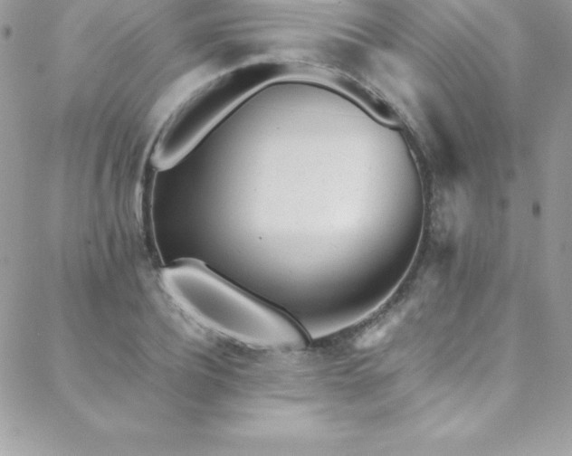 X0000088840932200706071416