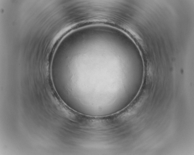 X0000088840933200706071416