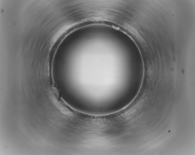 X0000088840934200706071416