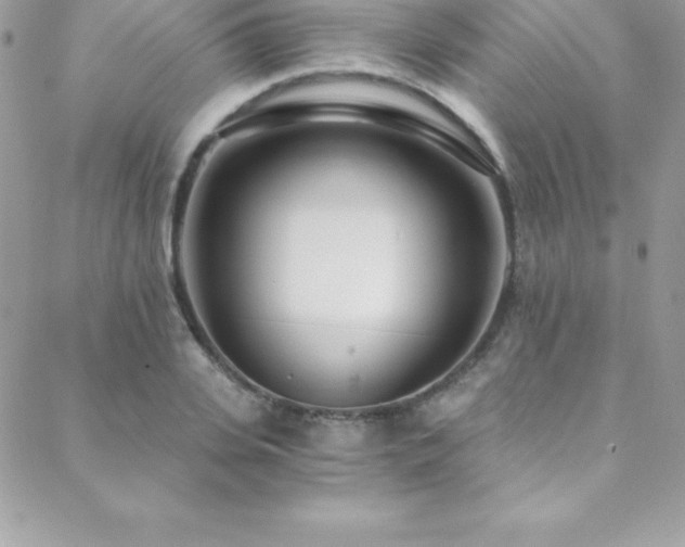 X0000088840935200706071416